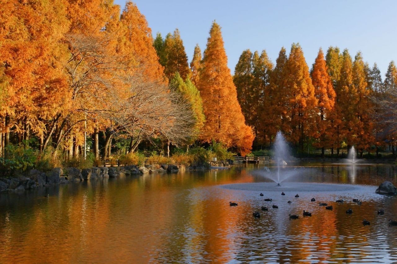 🌳 카이가라야마 공원 이미지 6